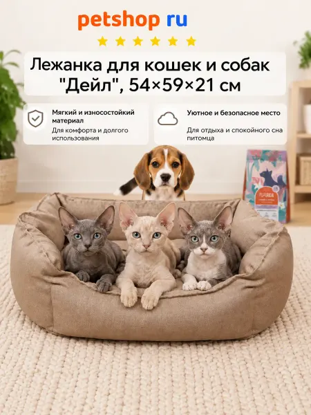 PetShop лежанка "Дейл", 54x59x21 см