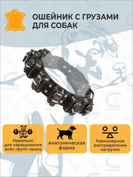 CHOKERZ Ошейник для собак с утяжелителями (7 грузов) кожаный