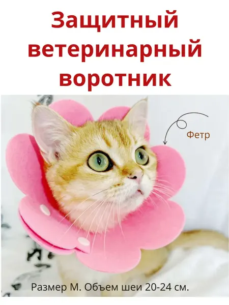 Animal Collars Gear Защитный воротник для кошек и собак мелких пород M