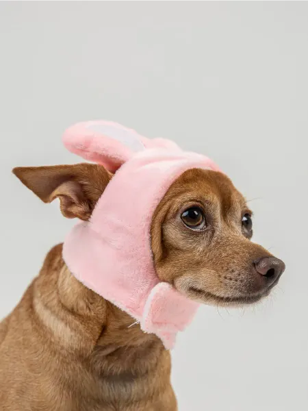 Arnydog Шапка для собак мелких пород и кошек