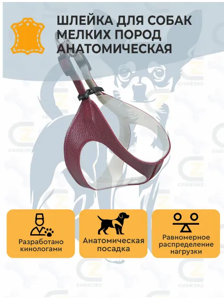 CHOKERZ Шлейка для собак мелких пород анатомическая (жилетка)