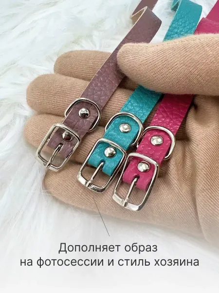 Dog collar Ошейники кожаные набор 3 шт