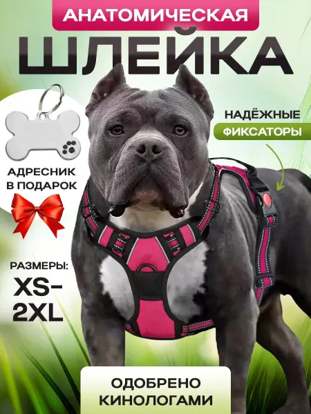 Hello family Шлейка для собак крупных и средних пород