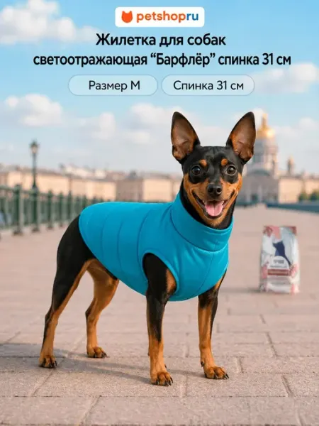 Lelap "Флавинь" жилетка для собак, бирюзовая