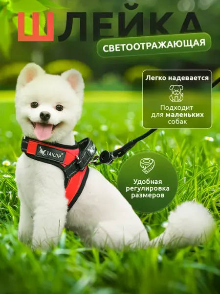 SenkaDog Шлейка для мелких пород собак и щенков