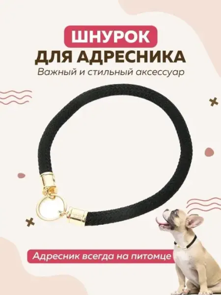 Violdicord Шнурок для адресника для собак