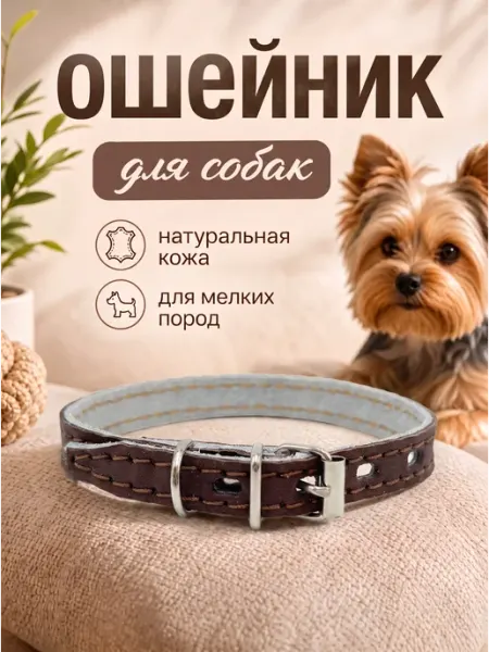 ZebraZoo Ошейник для кошек и собак мелких пород