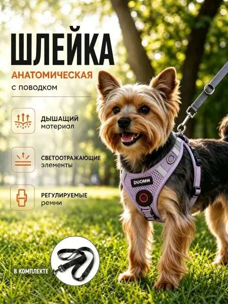 Шлейка анатомическая для собак мелких пород шпица йорк