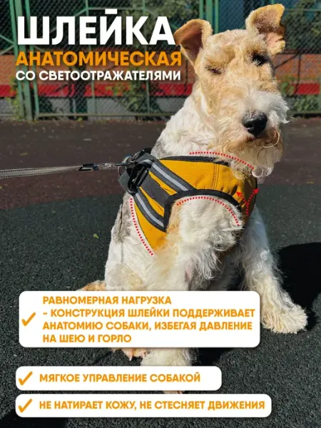 МОНМОРАНСИ Шлейка для собак анатомическая со светоотражателями