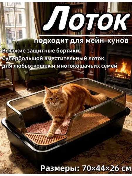 Лоток для мейн-кунов с высокими бортиками