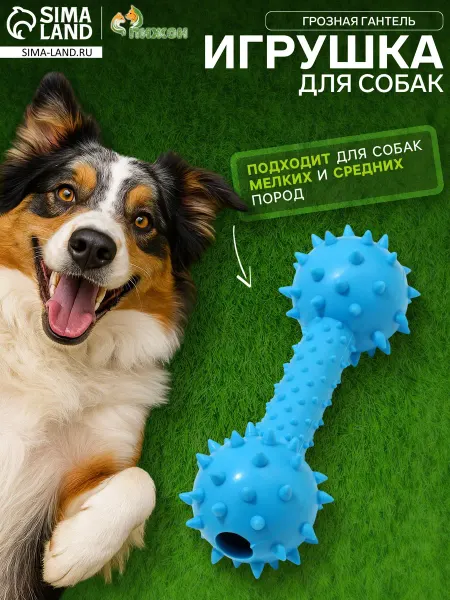Пижон Игрушка для собак жевательная с бубенчиком гантель