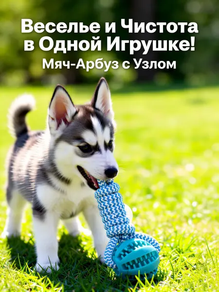Игрушки для собак,Средний жевательный мяч с веревочным узлом