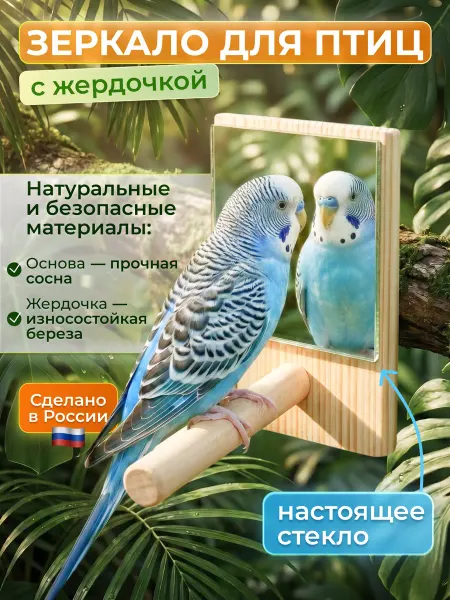 НЮМС Зеркало с жёрдочкой для птиц прямоугольное