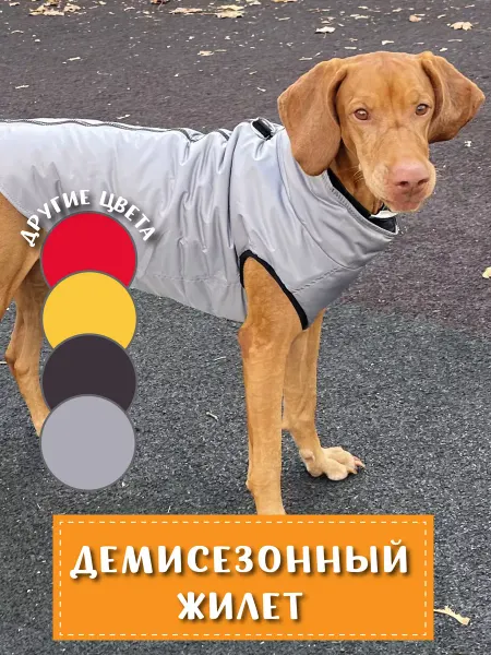 МОНМОРАНСИ Жилет для собак мелких и средних пород