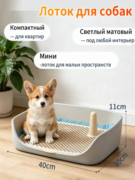 Лоток для собак мелких пород в квартиру, приучение