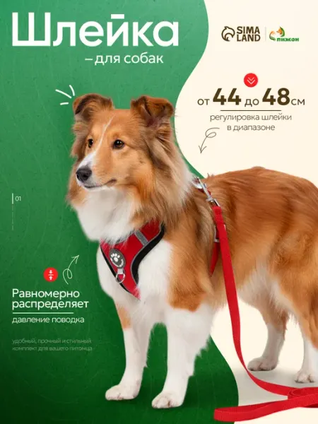 Пижон Шлейка для собак и кошек с поводком