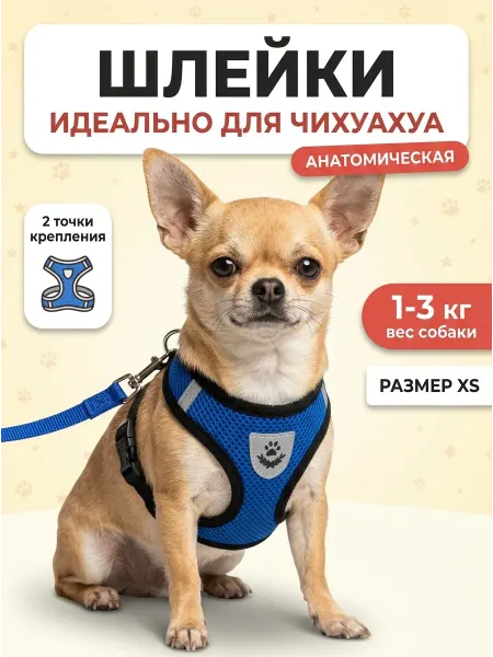 Светоотражающая шлейка с поводком для чихуахуа