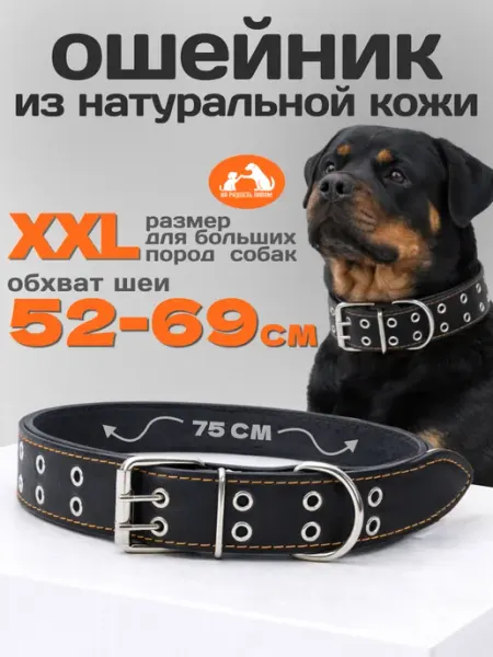Dogdogs Ошейник для собак крупных пород