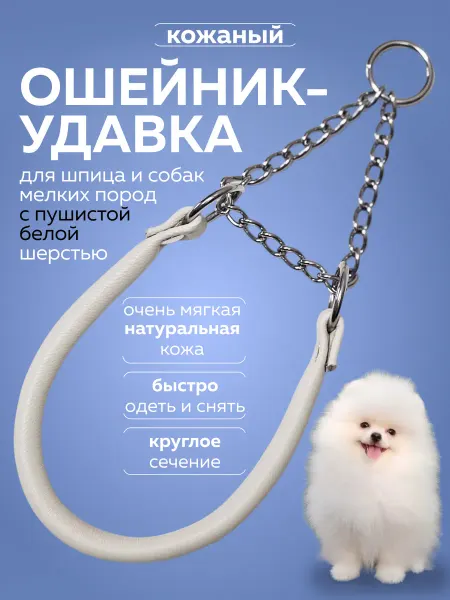 DOGIGOOD Ошейник удавка для шпица и собак мелких пород круглый кожаны…