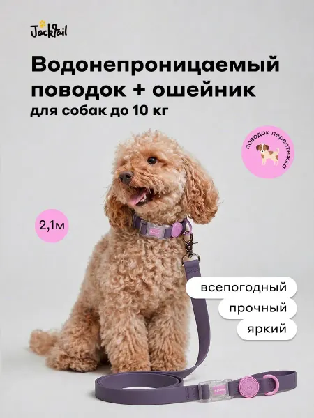 Поводок с регулируемым ошейником для собак мелких пород