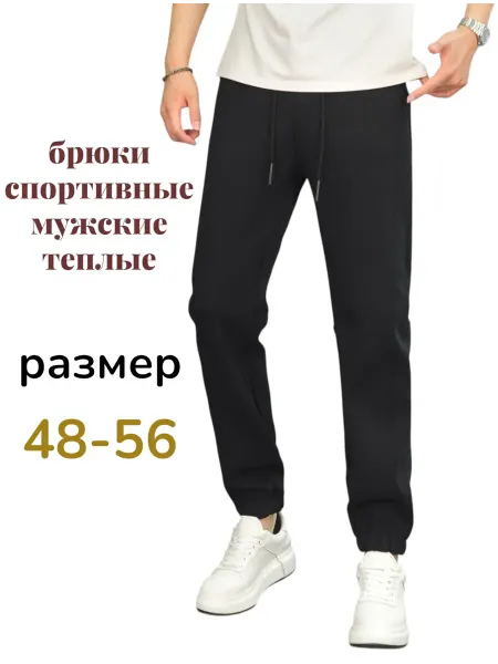 HVD-Shop брюки спортивные мужские теплые