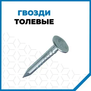 Гвозди Стройметиз толевые евро 3х40, сталь, покрытие - цинк, 500 гр. (187 шт.)
