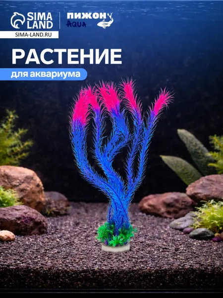 Пижон Аква Зеленое растение для аквариума высотой до 35 см