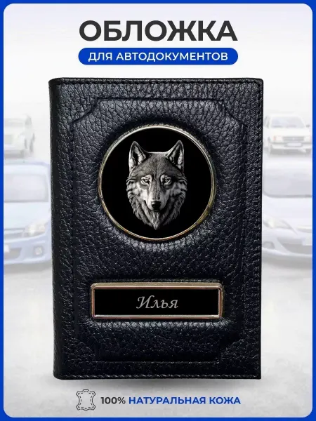 AUTO OBLOZHKA Обложка для автодокументов именная Илья