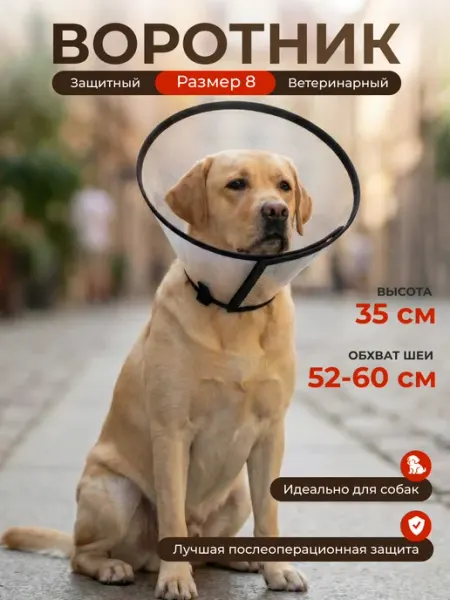 Защитный воротник ветеринарный для собак, высота 35 см