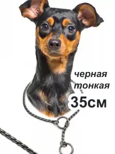 Ошейник цепочка кобра для собак тонкая черная 35см