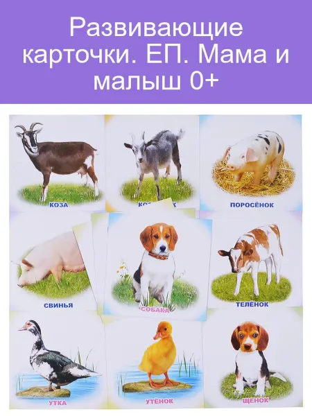 Леда Развивающие карточки для мамы и малыша 0+