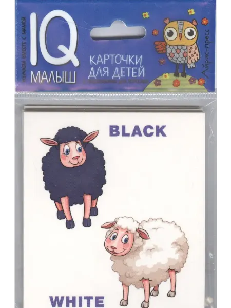 Территория Книг 24 Карточки для детей. English. Противоположности