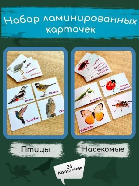 WeGrowGood Птицы и насекомые развивающие карточки Домана ламинированные