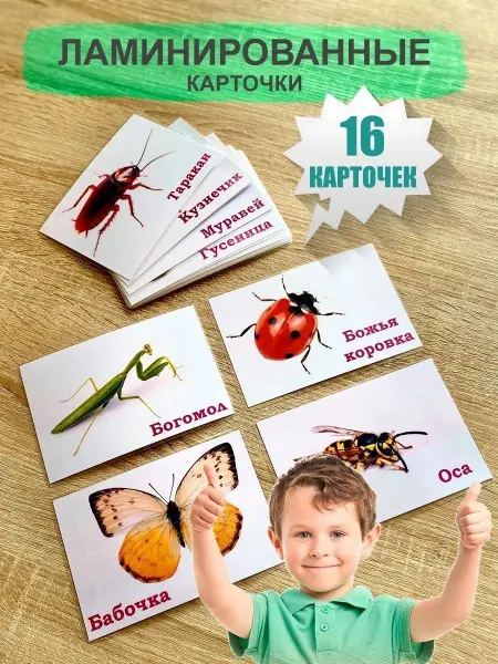 WeGrowGood Насекомые развивающие карточки Домана ламинированные