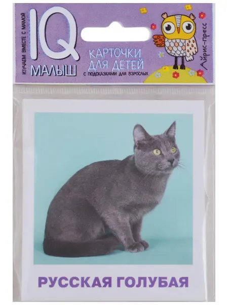 АЙРИС-пресс Умный малыш. Породы кошек Набор карточек для детей