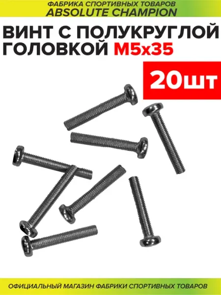 Absolute Champion Винт оцинкованный с полукруг голов пол резьба м 5*35 20 шт