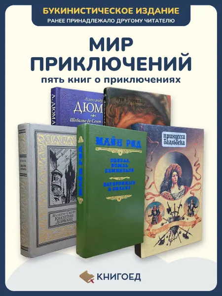 Книгоед Приключения книги романы Дюма Буссенар исторические Скотт