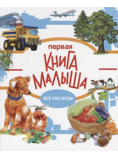 Книжный дом РФ Первая книга малыша. Все обо всем