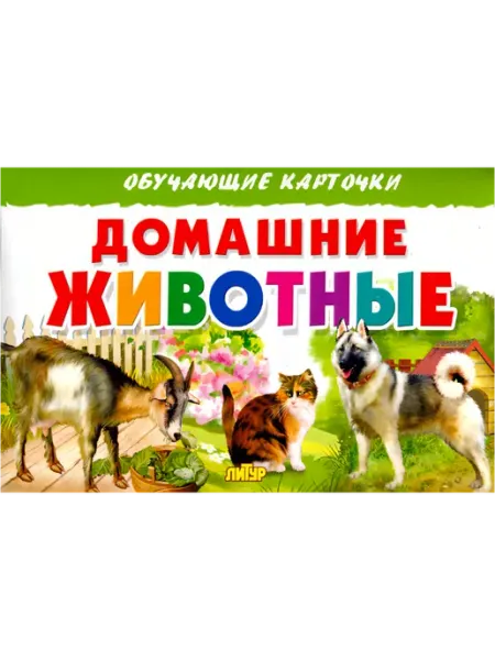 ЛитУр Обучающие карточки для детей Домашние животные