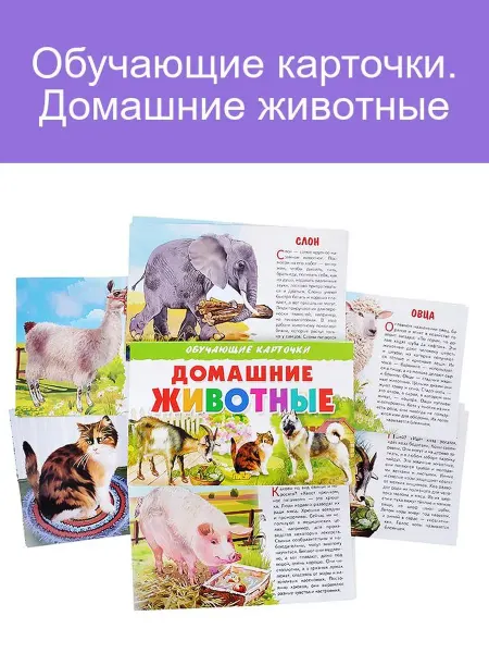 Обучающие карточки для детей Домашние животные