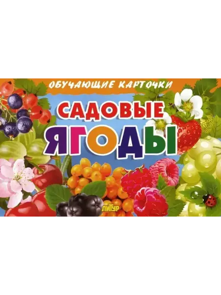 ЛитУр Комплект карточек. Садовые ягоды