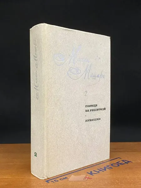 Художественная литература Солнце за решеткой. Лукишки. Книга 2