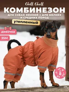 Комбинезон для собак зимний Chill Choll для мелких пород, для девочек, сук. Утепленный. Размер 35М