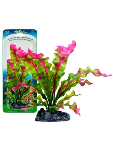 PENN-PLAX Растение для аквариума Flowering Crypt с грузом 35 см