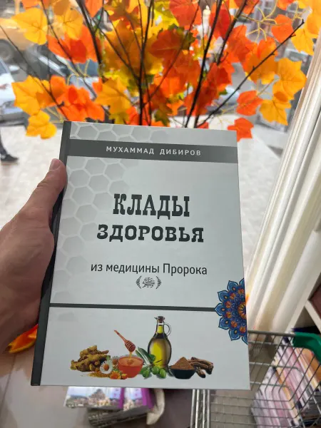 ОПТОВИК АСЛУДИН Книга клады здоровья