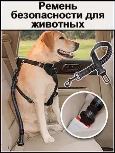 Усиленный, универсальный автомобильный ремень безопасности для животных, для малых пород с амортизацией. Длина 35-75см