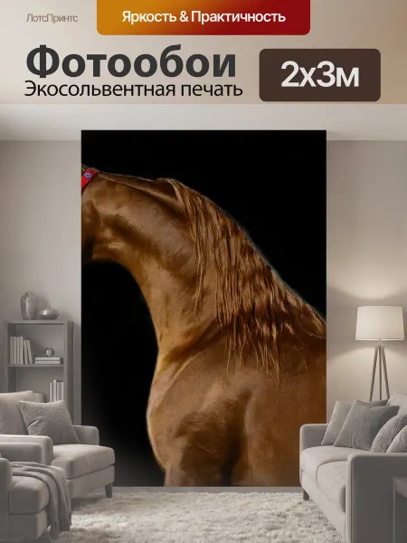 LotsPrints Фотообои "Лошадь, арабский, животное" 2x3м