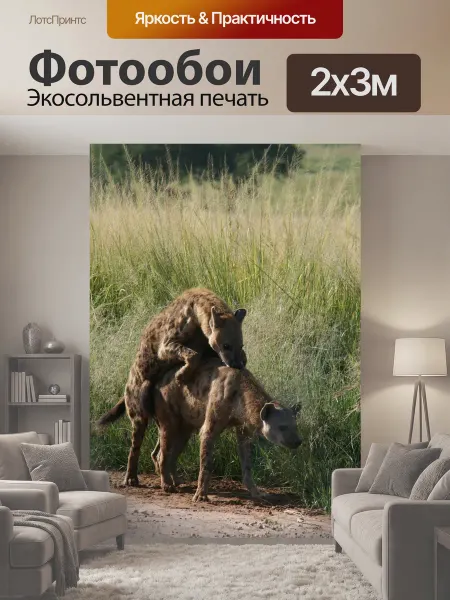 LotsPrints Фотообои "Гиена, гиены, африке" 2x3м