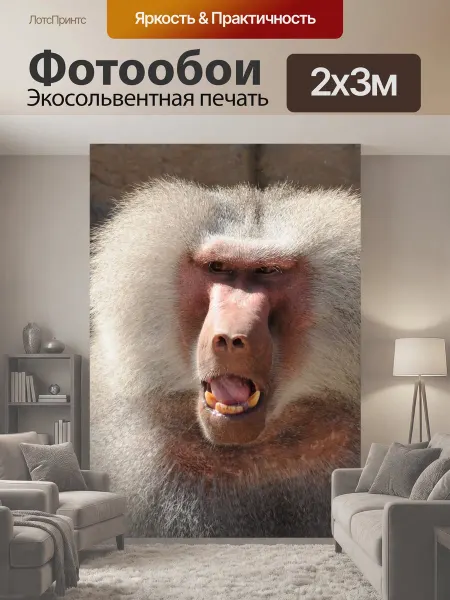 LotsPrints Фотообои "Зоопарк, обезьяны, бабуины" 2x3м