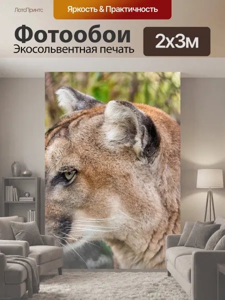 LotsPrints Фотообои "Пума, горный лев, большой кот" 2x3м